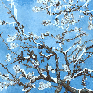 长泽梓看见梦遗精瞬间
