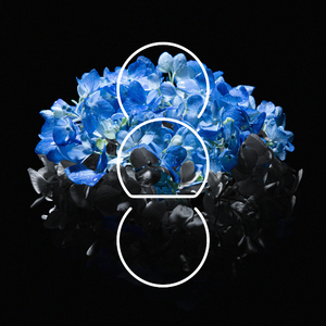 长泽梓看见梦遗精瞬间
