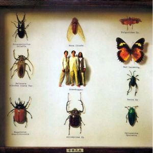 长泽梓看见梦遗精瞬间
